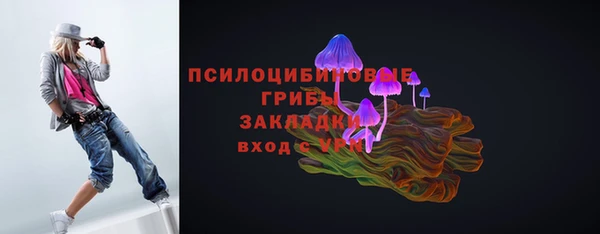 ПСИЛОЦИБИНОВЫЕ ГРИБЫ Армянск