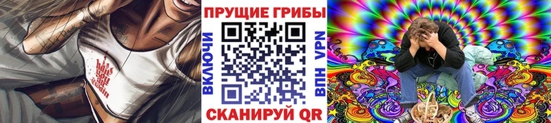 Псилоцибиновые грибы прущие грибы  Приволжск 