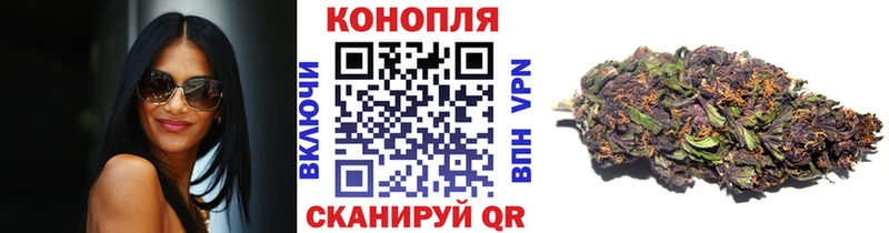 Шишки марихуана OG Kush Приволжск